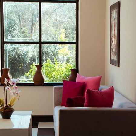 Southern Light Country House Kapstadt Exterior foto